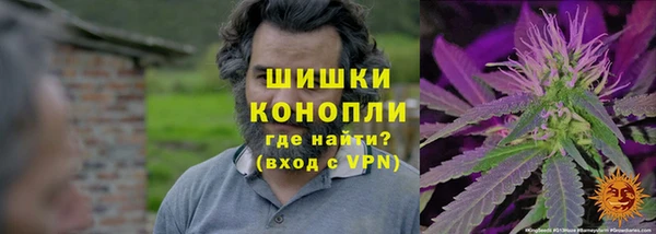 мдпв Нязепетровск